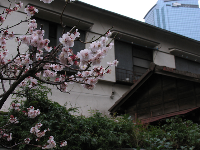 08年03月17日