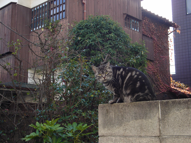 07年11月22日