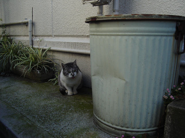 07年11月22日