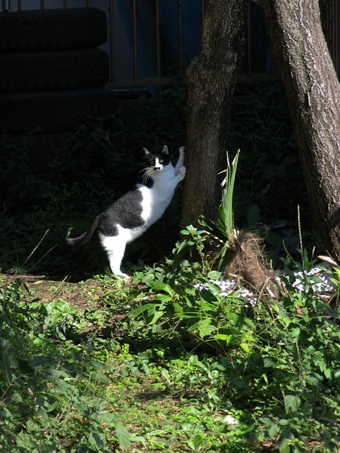 07年10月22日