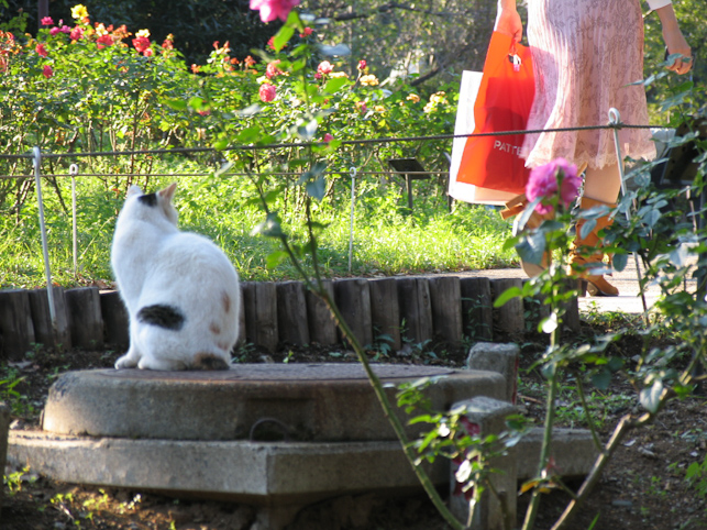 07年10月22日