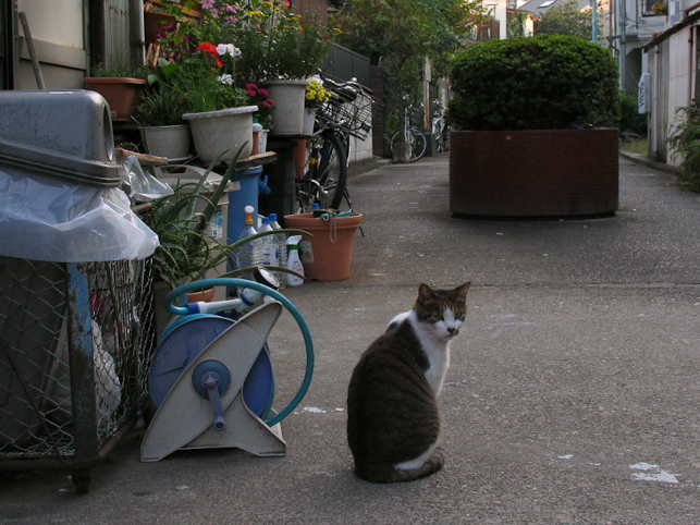 07年10月23日